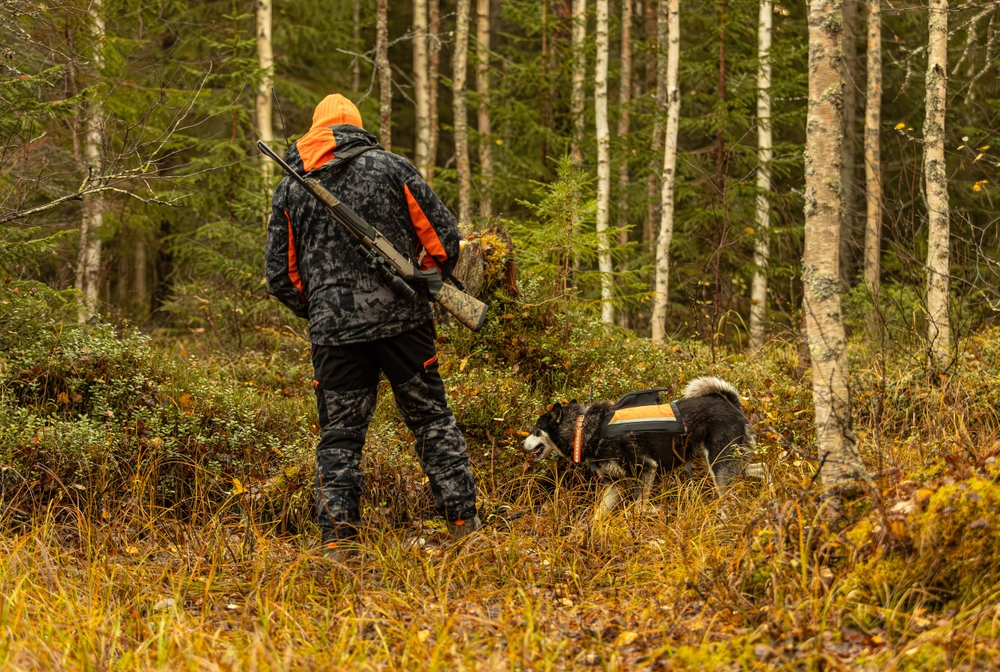 Assurance chien de chasse gros gibier